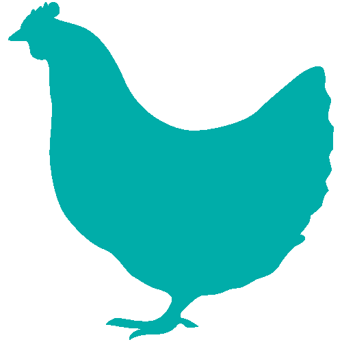 Poultry